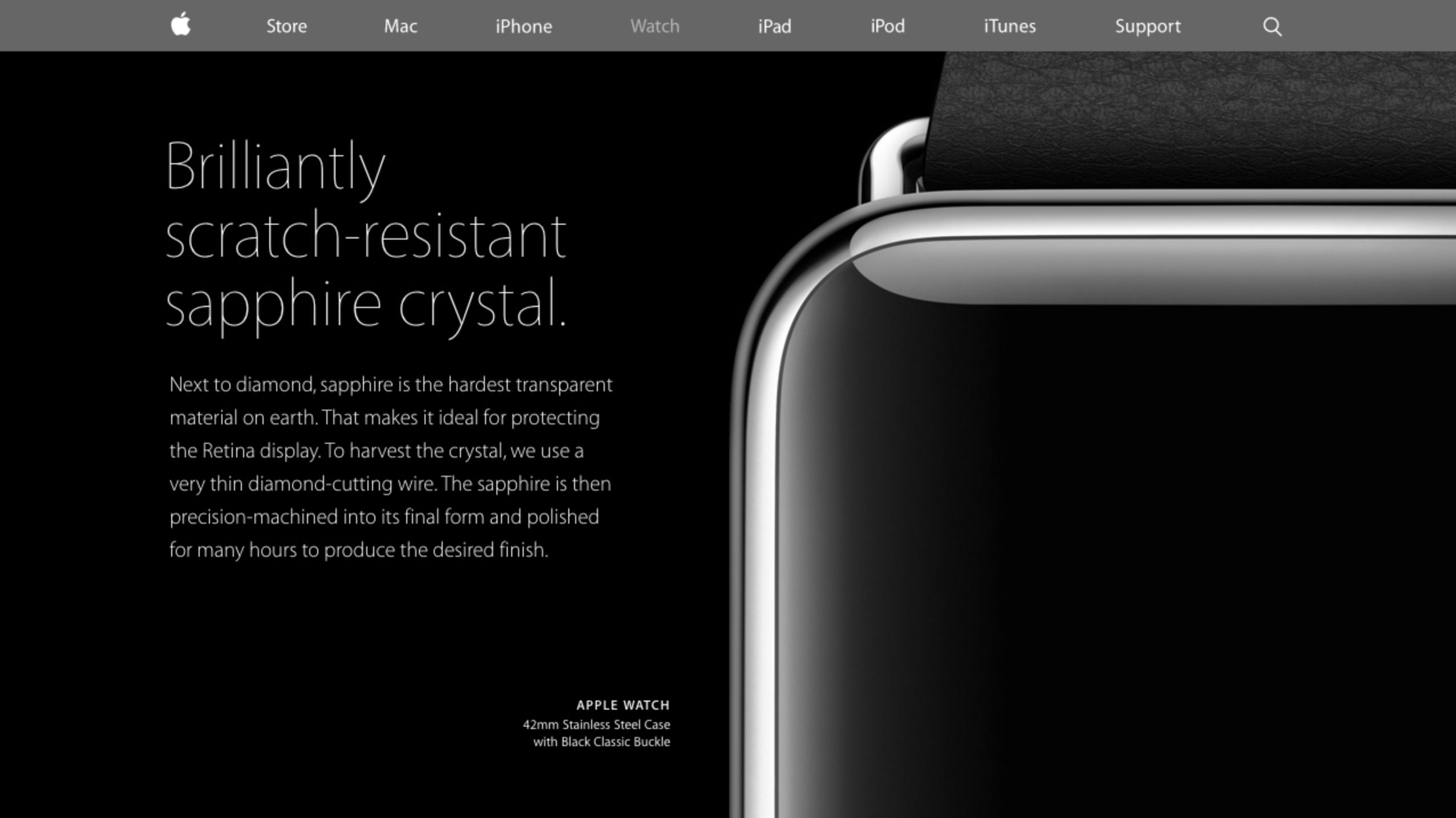Apple Watch